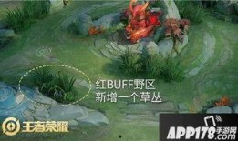 峡谷新闻爆料最新,最新爆料揭示惊人真相
