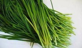 原神最新爆料韭菜,神秘韭菜助力角色成长，探索游戏新玩法