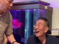 杨议的最新爆料,娱乐圈幕后真相大曝光！
