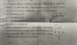 预计最新军需爆料消息是真的吗,真实性待考究，揭秘军需装备最新动态