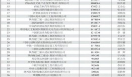西安爆料企业名单最新,企业名单曝光，行业动态再掀波澜