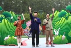 长门青年最新爆料消息视频,最新爆料视频深度解析