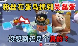 蛋仔岛最新爆料视频,揭秘神秘岛屿的奇幻冒险与未知挑战