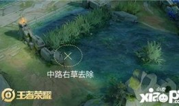 峡谷新闻爆料最新,最新爆料揭示惊人真相