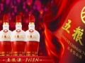 五粮液最新爆料信息图片,揭秘高端白酒背后的传奇故事与工艺传承”