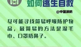 地铁逃生怎么领最新爆料,揭秘最新爆料与逃生技巧